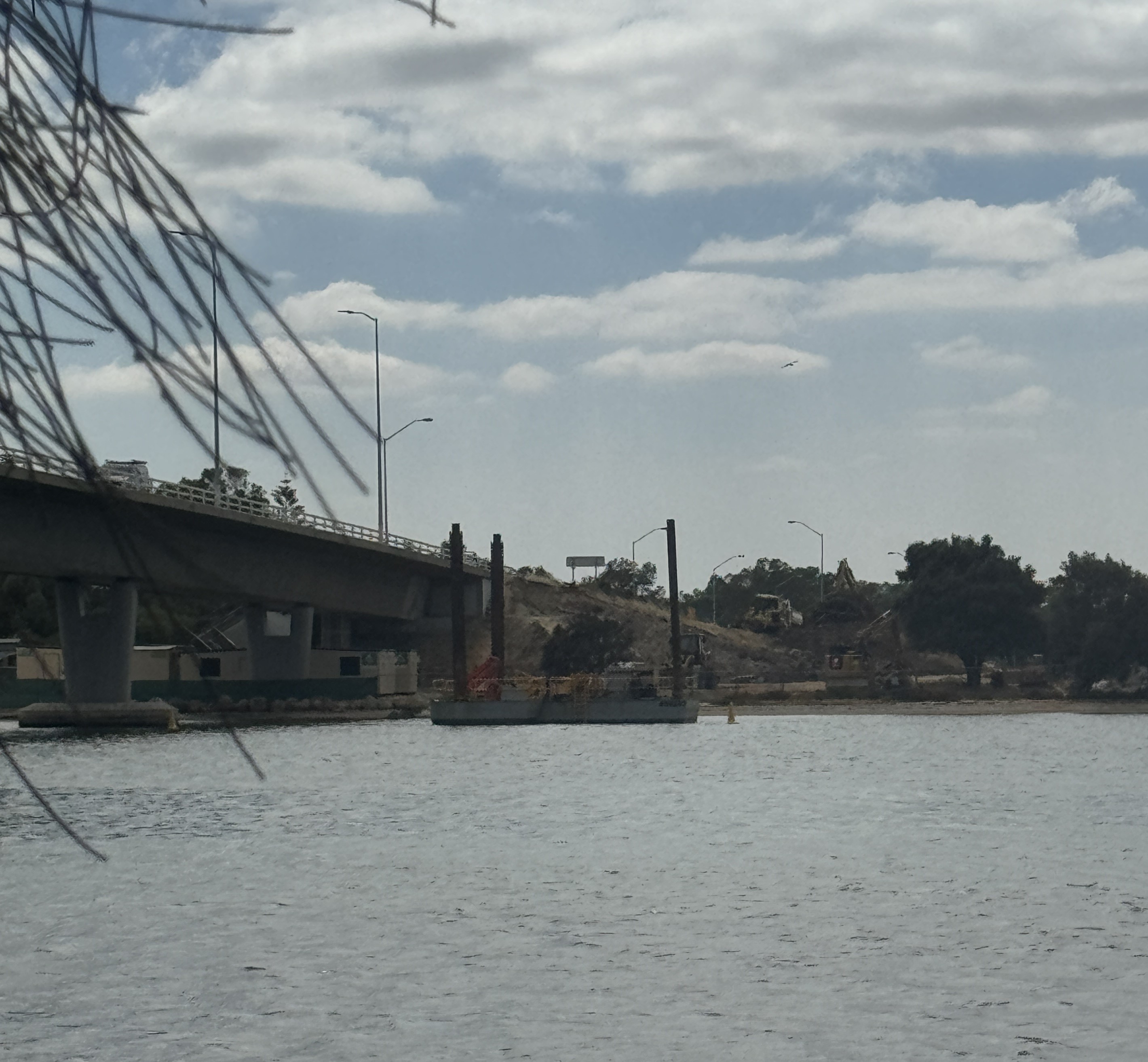 Soil testing in estuary Main Image